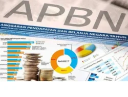 80% APBN dari Pajak, Guru Besar UGM Dorong Perbaikan Tata Kelola Sistem Informasi Akuntansi
