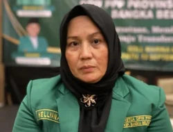 Babak Baru Kasus Hellyana Wagub Babel: Vonis 4 Bulan Penjara, Kini Bersiap Sidang Ijazah Palsu