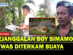 Bukan Dimakan Buaya, Tangis Ibu Boy Simamora: Saya Belum Ikhlas Anak Saya Mati Seperti Ini