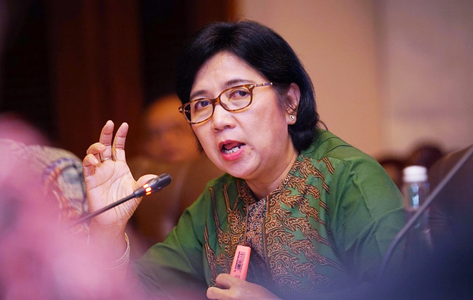 Destry Damayanti Resmi Jadi Pelaksana Tugas Gubernur Gantikan Perry Warjiyo, Ini Fakta Lengkapnya