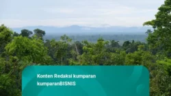 Kebijakan Kehutanan RI Masih Bertumpu pada Interpretasi Tunggal: Guru Besar UGM Soroti Defisiensi Ilmu Kebijakan