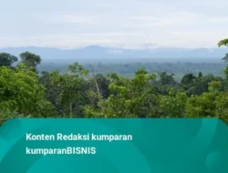 Kebijakan Kehutanan RI Masih Bertumpu pada Interpretasi Tunggal: Guru Besar UGM Soroti Defisiensi Ilmu Kebijakan