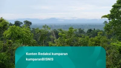 Kebijakan Kehutanan RI Masih Bertumpu pada Interpretasi Tunggal: Guru Besar UGM Soroti Defisiensi Ilmu Kebijakan