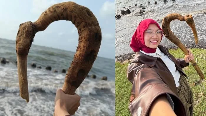 Kisah Mahasiswi Sukoharjo Juara Kompetisi Tongkat Kayu Sedunia, Mirip Tongkat Maui di Film Moana