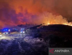 Spanyol Tangkap Sopir Traktor yang Diduga Sebabkan Kebakaran Hutan: Ribuan Hektare Ludes