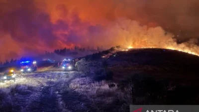 Spanyol Tangkap Sopir Traktor yang Diduga Sebabkan Kebakaran Hutan: Ribuan Hektare Ludes