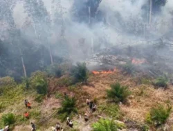 Bibit Sawit di Lokasi Karhutla Riau, Sahroni Menduga Ada Aktor di Balik Kebakaran
