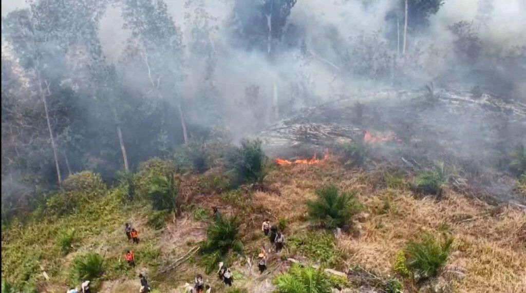 Bibit Sawit di Lokasi Karhutla Riau, Sahroni Menduga Ada Aktor di Balik Kebakaran