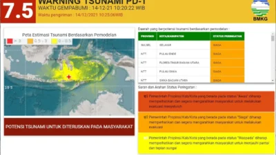 Gempa NTT Berpotensi Tsunami: BMKG Pastikan Peringatan Dini Cepat, Namun Butuh Puluhan Tahun untuk Gempa Besar Susulan