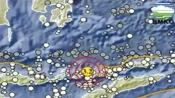 Gempa Nusa Tenggara Timur: Bantuan Rumah Segera Diverifikasi, Waspada Gempa Susulan hingga 4 Minggu
