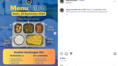 Radar MBG: Portal Baru BGN untuk Cek Menu Makan Bergizi Gratis, Orang Tua Kini Bisa Pantau Gizi Anak