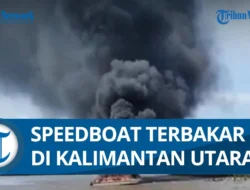 Speedboat Terbakar di Bulungan: Langkah Nyeker Mira Selamatkan Diri, Ijazah dan Barang Ludes