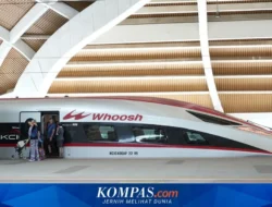 Alih Daya Strategis di Balik Kemajuan Whoosh, Danantara, dan Koperasi