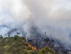 Asap Karhutla Menyelimuti Langit Indonesia: Dari Lampung Hingga Jakarta, Kesehatan Terancam