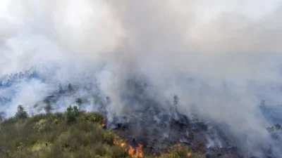 Asap Karhutla Menyelimuti Langit Indonesia: Dari Lampung Hingga Jakarta, Kesehatan Terancam