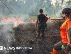 Empati di Tengah Kabut: Kontroversi Gubernur Kaltim dan Upaya Penanganan Karhutla