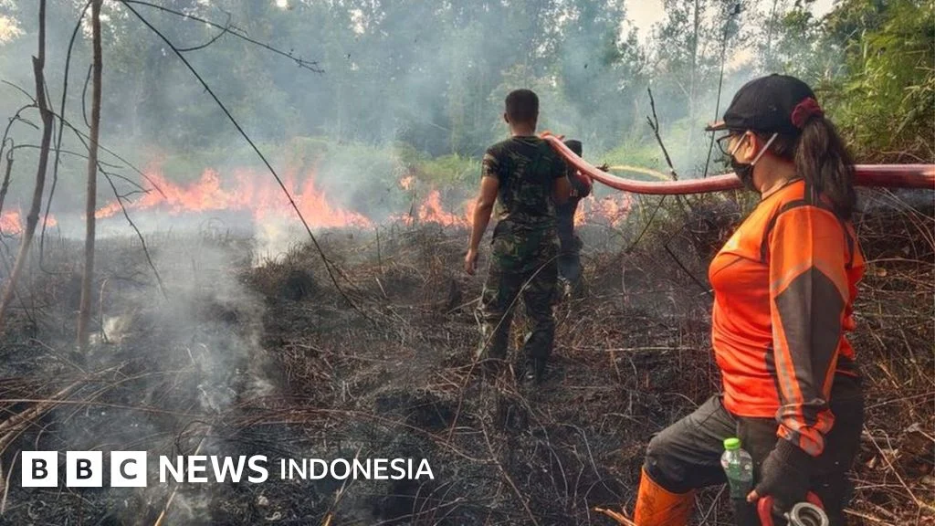 Empati di Tengah Kabut: Kontroversi Gubernur Kaltim dan Upaya Penanganan Karhutla