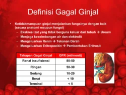 Gagal Bayar Mengintai: BPJS Kesehatan Bantah Tunggakan Dokter, OJK Awasi Fintech Bermasalah