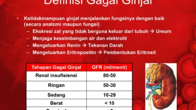 Gagal Bayar Mengintai: BPJS Kesehatan Bantah Tunggakan Dokter, OJK Awasi Fintech Bermasalah
