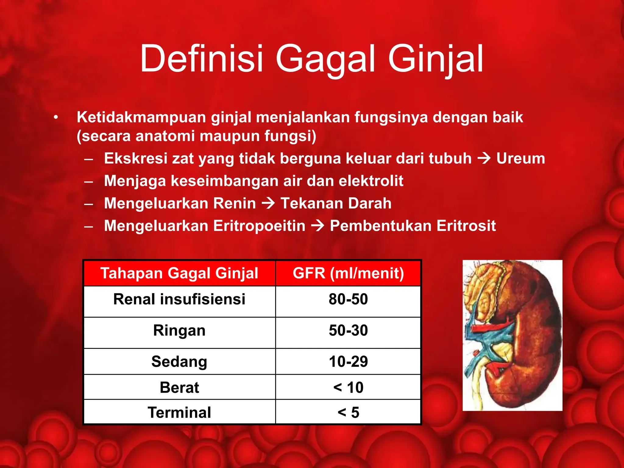 Gagal Bayar Mengintai: BPJS Kesehatan Bantah Tunggakan Dokter, OJK Awasi Fintech Bermasalah