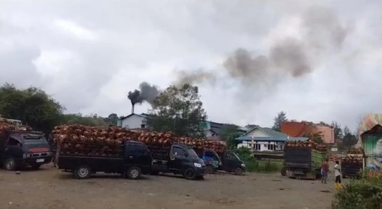 Gawat! ISPU Jambi Tembus 815, Ribuan Warga Terserang ISPA dan Langit Memerah