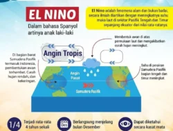 Gelombang Panas Landa Indonesia: El Nino Super Kuat Picu Kekeringan, Polusi Udara, dan Ancaman Laut
