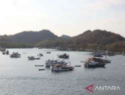 Haze Kembali Menghantui Asia Tenggara: Penerbangan Terganggu, Warga Labuan Bajo Keluhkan Mata Perih, Hingga Ketegangan Diplomatik