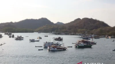 Haze Kembali Menghantui Asia Tenggara: Penerbangan Terganggu, Warga Labuan Bajo Keluhkan Mata Perih, Hingga Ketegangan Diplomatik