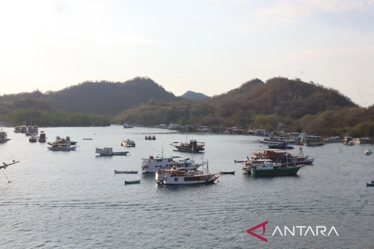 Haze Kembali Menghantui Asia Tenggara: Penerbangan Terganggu, Warga Labuan Bajo Keluhkan Mata Perih, Hingga Ketegangan Diplomatik