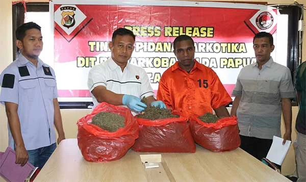 Jumat Hari Ini Penuh Peristiwa: TKA Papua Disesuaikan hingga 15 Terduga Narkoba Diciduk di Medan