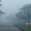 Kabut Asap Karhutla Meluas: DPRD Kalteng Desak Aksi Nyata, Wali Kota Palu Perpanjang Sekolah Daring