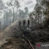 Kalimantan Membara: 3.392 Hektare Lahan Terbakar, Warga Menagih Janji Negara di Tengah Kabut Asap