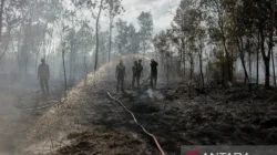 Kalimantan Membara: 3.392 Hektare Lahan Terbakar, Warga Menagih Janji Negara di Tengah Kabut Asap