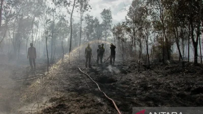 Kalimantan Membara: 3.392 Hektare Lahan Terbakar, Warga Menagih Janji Negara di Tengah Kabut Asap