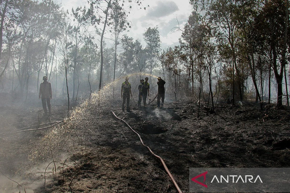 Kalimantan Membara: 3.392 Hektare Lahan Terbakar, Warga Menagih Janji Negara di Tengah Kabut Asap