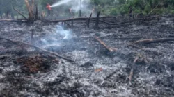 Kebakaran Besar Melanda Indonesia: Dari Karhutla Sawit hingga Rumah Kos, Ancaman Asap dan Hukum Baru