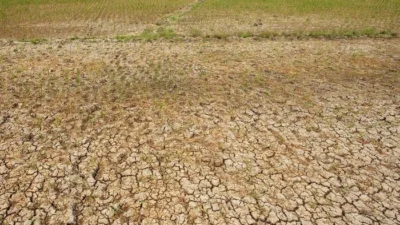 Kekeringan Ekstrem Landa Indonesia: Bima 145 Hari Tanpa Hujan, Jatim Rugi Ratusan Hektare Lahan