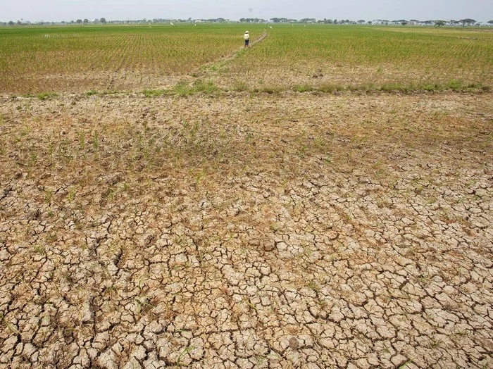 Kekeringan Ekstrem Landa Indonesia: Bima 145 Hari Tanpa Hujan, Jatim Rugi Ratusan Hektare Lahan