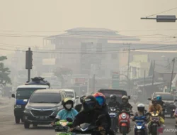 Krisis Kabut Asap Indonesia: 96 Orangutan Dievakuasi, Malaysia Tawarkan Bantuan Udara di Tengah Jarak Pandang 50 Meter