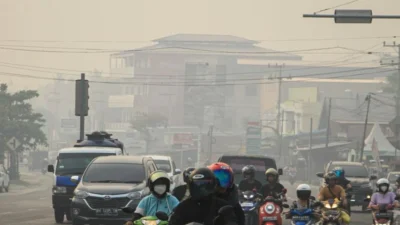 Krisis Kabut Asap Indonesia: 96 Orangutan Dievakuasi, Malaysia Tawarkan Bantuan Udara di Tengah Jarak Pandang 50 Meter