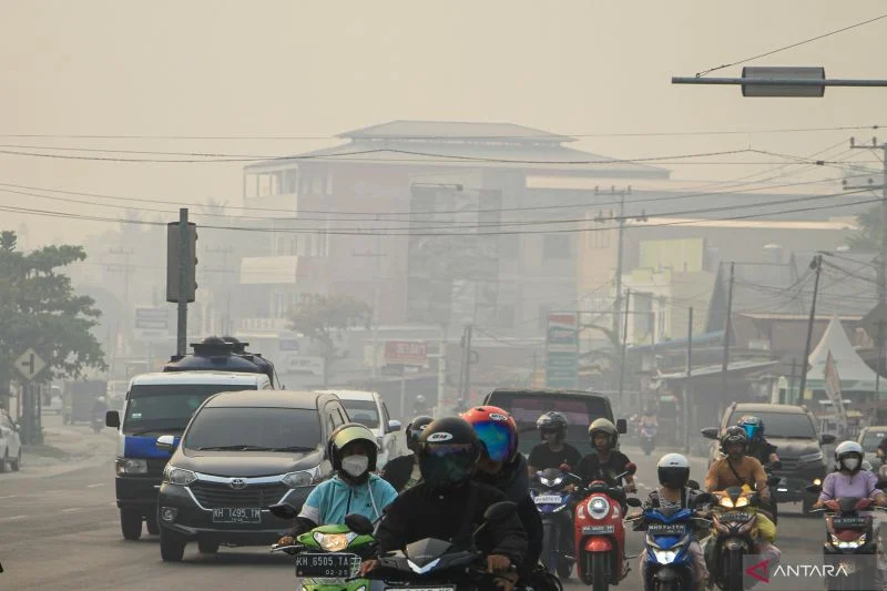 Krisis Kabut Asap Indonesia: 96 Orangutan Dievakuasi, Malaysia Tawarkan Bantuan Udara di Tengah Jarak Pandang 50 Meter