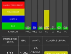 Kualitas Udara Memburuk Akibat Karhutla, OCBC Catat Pertumbuhan Kredit di Tengah Ketidakpastian Ekonomi