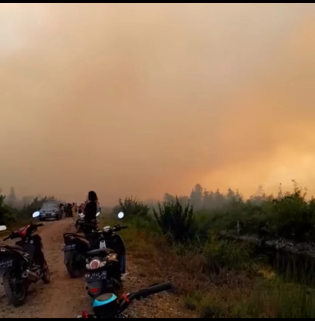 Palangkaraya Dilanda Kabut Asap Kuning Jingga, 1.121 Warga Terserang ISPA