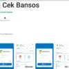 Portal Digital Jadi Kunci Reaktivasi Bansos, Ini Langkah dan Syaratnya