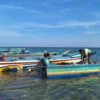 Pulau Buru Jadi Sorotan: Dari Penangkapan Kapal Kayu Ilegal hingga Geliat Kopi Maluku