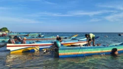 Pulau Buru Jadi Sorotan: Dari Penangkapan Kapal Kayu Ilegal hingga Geliat Kopi Maluku