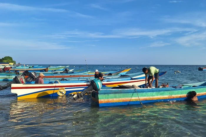 Pulau Buru Jadi Sorotan: Dari Penangkapan Kapal Kayu Ilegal hingga Geliat Kopi Maluku