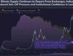 Strategi Korporasi dan Pasokan Diam: Mengapa Harga BTC Masih Tertahan di Level Kunci