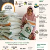 Surplus Beras Sumut 27.633 Ton, Pemerintah Juga Salurkan Bantuan Beras Gratis untuk 33,2 Juta Penerima