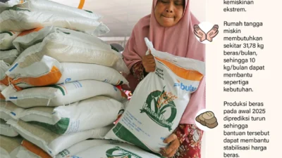 Surplus Beras Sumut 27.633 Ton, Pemerintah Juga Salurkan Bantuan Beras Gratis untuk 33,2 Juta Penerima